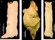 Third thumbnail for: Using Petrography and Geochemistry to Determine th...