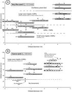 Third thumbnail for: Fine-Grained Versus Coarse-Grained Wave Ripples Ge...