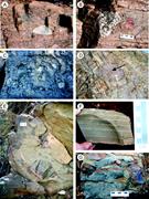 Third thumbnail for: Evidence for Dynamic Climate Change on Sub-10 6 -Y...