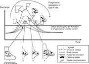 Second thumbnail for: Hyperpycnal Rivers and Prodeltaic Shelves in the C...