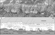 Third thumbnail for: Facies and Stratigraphic Anatomy of a Temperate Ca...