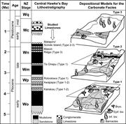 Second thumbnail for: Diversity of Neomorphic Fabrics in New Zealand Pli...