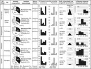 Third thumbnail for: Diversity of Neomorphic Fabrics in New Zealand Pli...