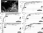 Second thumbnail for: Geomorphic and Sedimentologic Heterogeneity Along ...