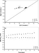 Third thumbnail for: Calcite and Aragonite Precipitation Under Controll...