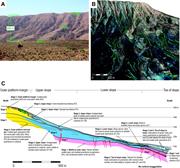 Second thumbnail for: Evolution of a High-Relief Carbonate Platform Slop...