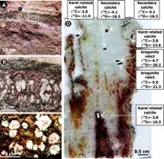 Third thumbnail for: Igneous Origin of CO 2 in Ancient and Recent Hot-S...