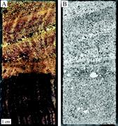 First thumbnail for: Mapping and Quantifying the Clay Aggregate Micropo...