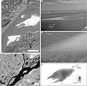 Third thumbnail for: The Sedimentology and Alluvial Architecture of a L...