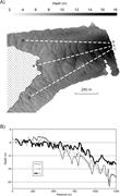 Second thumbnail for: The Sedimentology and Alluvial Architecture of a L...