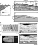 First thumbnail for: Compensational Stacking of Channelized Sedimentary...