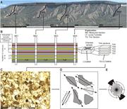 Second thumbnail for: On the Origin of Paleocurrent Complexity Within De...