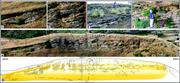 Third thumbnail for: A Mixed Bioclastic–Siliciclastic Flood-Tidal Delta...