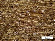 Second thumbnail for: Lenticular Shale Fabrics Resulting from Intermitte...