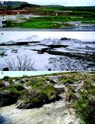 Second thumbnail for: Impact of Seasonal Changes on the Formation and Ac...