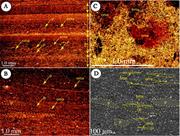 First thumbnail for: Algal Blooms and “Marine Snow”: Mechanisms That En...