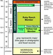 Second thumbnail for: Correlation of Aptian-Albian Carbon Isotope Excurs...