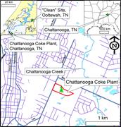 First thumbnail for: Micromorphology and Stable-Isotope Geochemistry of...