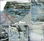 Third thumbnail for: Facies and Architectural Asymmetry in a Conglomera...