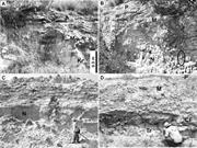 Second thumbnail for: Pedogenic Carbonates in Texas: Stable-Isotope Dist...