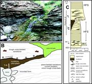 Second thumbnail for: Log Jams and Flood Sediment Buildup Caused Channel...