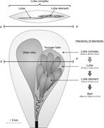 Third thumbnail for: Flow–Deposit Interaction in Submarine Lobes: Insig...