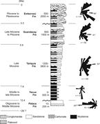 Second thumbnail for: Composition and Provenance History of Late Cenozoi...