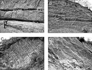 Third thumbnail for: Composition and Provenance History of Late Cenozoi...