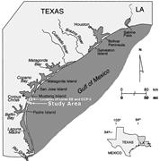First thumbnail for: Ground-Penetrating Radar Study of North Padre Isla...