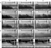 Second thumbnail for: The Effects of Grain-Density Variation on Turbidit...