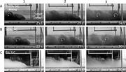 Third thumbnail for: The Effects of Grain-Density Variation on Turbidit...