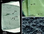 Second thumbnail for: Diagenesis of Flint and Porcellanite in the Maastr...
