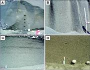 Third thumbnail for: Particle Fabric and Sedimentation of Structureless...