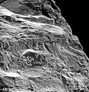 Third thumbnail for: Application of Quartz Sand Microtextural Analysis ...