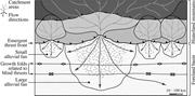 First thumbnail for: Control of Alluvial Sedimentation at Foreland-Basi...