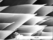 Third thumbnail for: Denticles on Chain Silicate Grain Surfaces and The...