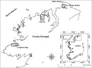 First thumbnail for: Decadal Behavior of Tidal Inlet–Associated Beach S...