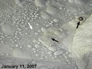 Second thumbnail for: Rapid Growth and Recrystallization of Cave Pearls ...