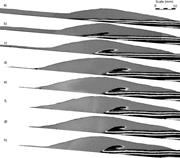 Third thumbnail for: Shear-Derived Mixing In Dense Granular Flows