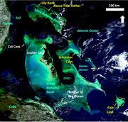 First thumbnail for: Holocene Oolitic Marine Sand Complexes of the Baha...