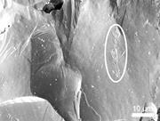 First thumbnail for: Chattermark Trails: Surface Features on Detrital Q...