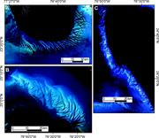 Second thumbnail for: Analyzing Spatial Patterns in Modern Carbonate San...