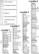 Third thumbnail for: Synapsid Burrows and Associated Trace Fossils in t...