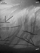 Second thumbnail for: Experimental Study on the Forming Conditions of Su...