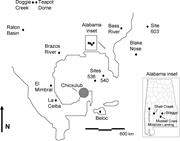 First thumbnail for: Nontronitic Clay Pseudomorphs of Cretaceous–Paleog...
