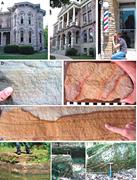 Second thumbnail for: The Pennsylvanian Pewamo Formation and Associated ...