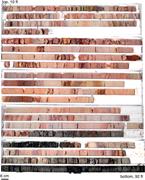 Third thumbnail for: The Pennsylvanian Pewamo Formation and Associated ...