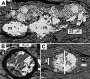 Second thumbnail for: Marcasite in Black Shales—a Mineral Proxy for Oxyg...