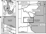 First thumbnail for: Stratigraphic Architecture of a Net-Transgressive ...