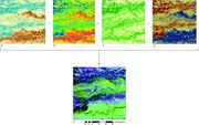 Third thumbnail for: Spatial and Temporal Evolution of an Avulsion on t...